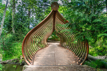 Salmon Bone Bridge 8