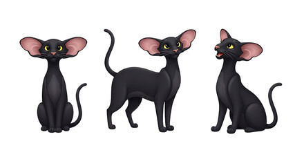 Three Elegant Black Cats with Large Ears in Various Poses.