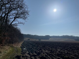 plowed field in the morning