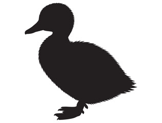 DUCKLING SILHOUETTE