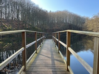 Obraz premium wooden pier and bridge on the lake in the forest
