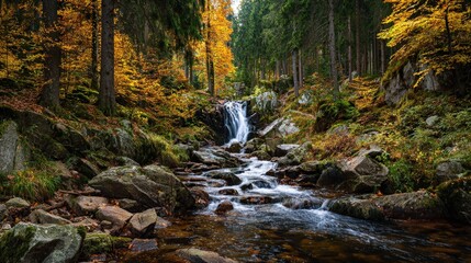 Fototapeta premium A hidden waterfall in a European forest with water flowing over smooth stones surrounded by colorful autumn foliage