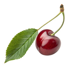 Juicy Red Cherry: Vibrant Fruit Photography