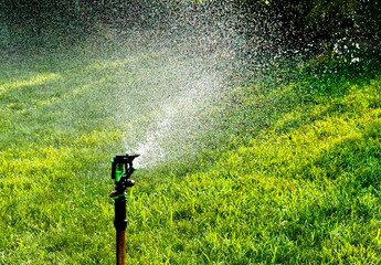 Watering the lawn with a sprinkler on a sunny day