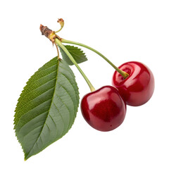 Juicy Red Cherries: Fresh Fruit, Vibrant Colors