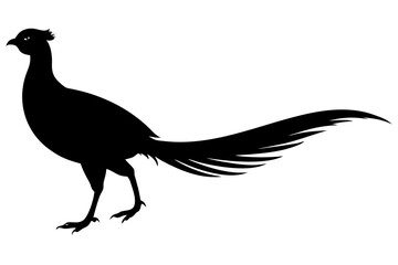 Obraz premium Elegant pheasant standing profile view silhouette vector illustration