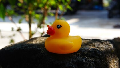 small rubber duck toy, close up of yellow duck toy