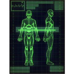 x ray image of human body