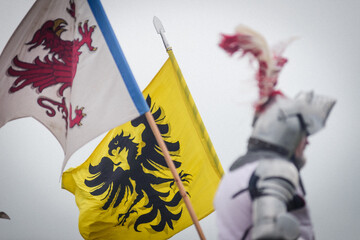 Bitwa pod Grunwaldem, średniowieczna bitwa z Krzyżakami, rekonstrukcja. Średniowieczne rycerstwo.