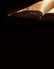 Still life from ancient book