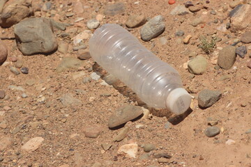 A close-up of a plastic bottle lying on the ground