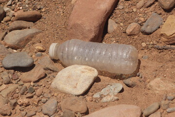 A close-up of a plastic bottle lying on the ground