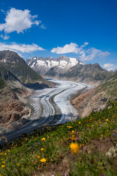 Aletschgletscher - aletsch glacier - swiss alps - switzerland - schweiz - aletsch - moosfluh view