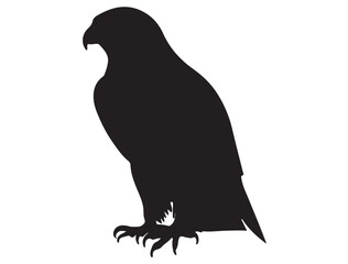  FALCON SILHOUETTE