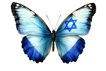 Beautiful butterfly in flag colors on a transparent isolated background for designers, marketers and IT. Popular abstraction, illustration, object, symbol, texture, still life.