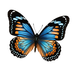 Fototapeta premium Illustration of a butterfly with blue orange and black wings isolated on a white background