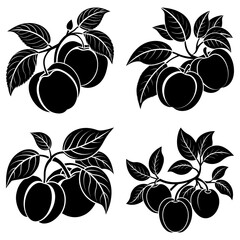 Illustration of four apple tree branches with leaves and fruit in black and white vector format