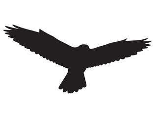  FALCON SILHOUETTE