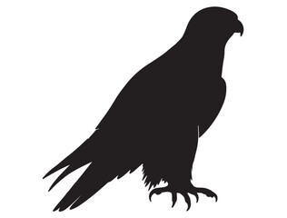  FALCON SILHOUETTE