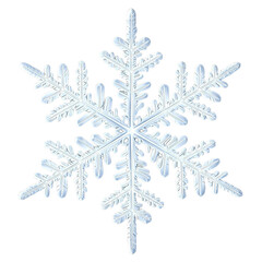 A detailed close up of a symmetrical snowflake with intricate patterns against a white background