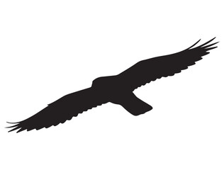  FALCON SILHOUETTE