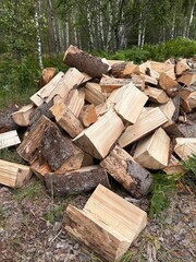 a pile of chopped firewood in the middle of the forest
