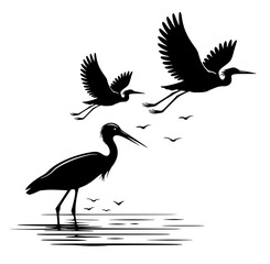 Heron Silhouette, Birds Flying, Egret in Water, Bird Clipart Vector