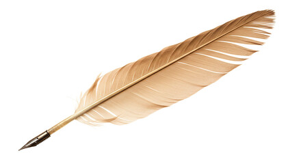 Isolated feather quill pen writing instrument close up gold color antique calligraphy vintage tool art supply