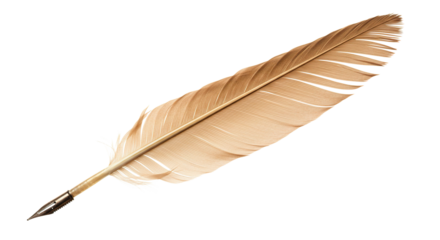 Isolated feather quill pen writing instrument close up gold color antique calligraphy vintage tool art supply