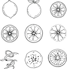 Lemon Silhouettes Grid  Monochrome Icons of Whole Fruit, Leafed Lemons, Spiral Peel, and Detailed Citrus Cross-Sections with Seeds