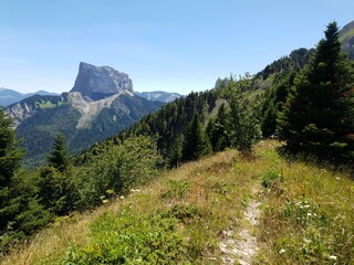 Gresse - sentier 6