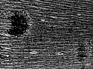 Rough black and white texture. Gritty monochrome surface. Abstract industrial background.
