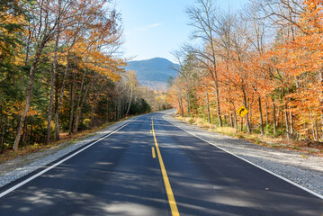 Empty mountain road through a deciduous forest on a sunny autumn day