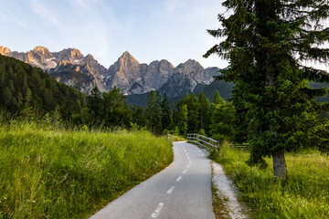 path leading into dense mountain forest, framed by lush greenery and wildflowers. mountain range surrounded by lush green forest. alpine