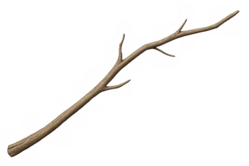 Photorealistic 3d-rendered dry tree branch, bare twigs against transparent backdrop, perfect for graphic design and digital compositing
