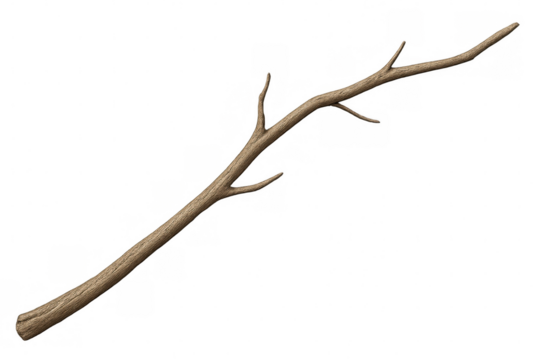 Photorealistic 3d-rendered dry tree branch, bare twigs against transparent backdrop, perfect for graphic design and digital compositing