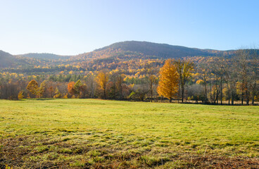 Wooded mountain landscape at the peak of fall foliage under clear sky at sunset. A meadow is in foreground. Lens flare.