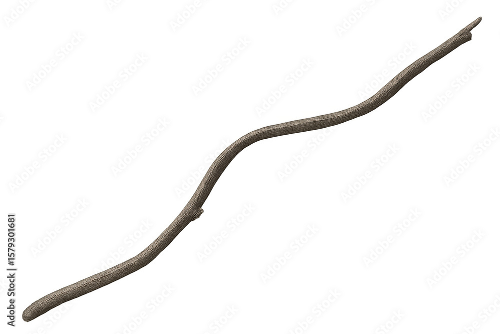 Poster withered tree branch lying against transparent backdrop, serving precise graphic design and photoman