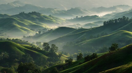 Rolling green hills covered with mist create a serene, idyllic mountain vista.