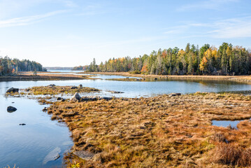 Forested shores of a coastal inlet in Maine on a clear autumn day