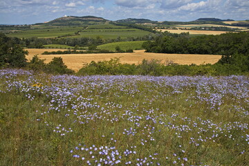 View from Lisci vrch at Muslov near Mikulov, Moravia, Czech republic, Europe
