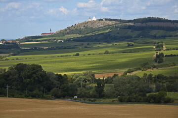 View from Lisci vrch at Muslov near Mikulov, Moravia, Czech republic, Europe
