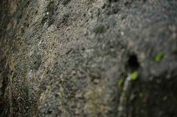 summer, 夏のある日
