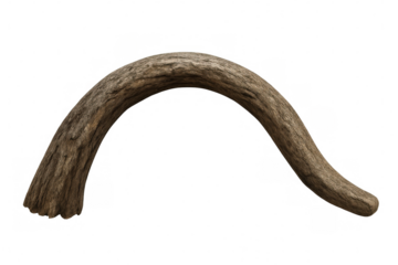 Curved wooden branch arching gracefully, rendered digitally with transparent background, complementing organic design elements