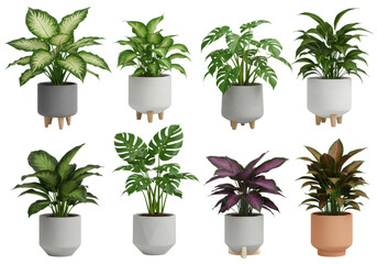 Obraz premium Eight diverse potted houseplants (Dieffenbachia, Monstera, Pothos, Calathea, succulents) in modern geometric ceramic planters, studio, white background, high contrast, clean home decor and indoor