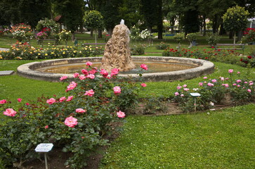 Rosarium in Bad Sauerbrunn, Burgenland, Austria
