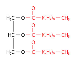 Triacylglycerol (triglyceride) is the primary form of dietary lipid. General structure of a triacylglycerol (TAG) molecule..