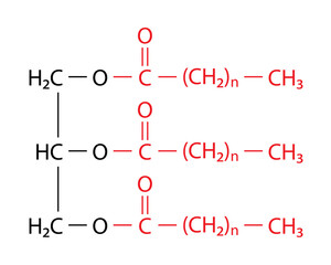Triacylglycerol (triglyceride) is the primary form of dietary lipid. General structure of a triacylglycerol (TAG) molecule..