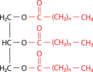 Triacylglycerol (triglyceride) is the primary form of dietary lipid. General structure of a triacylglycerol (TAG) molecule..