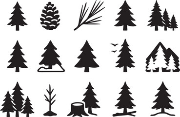 Obraz premium Pine trees cone needles forest conifer evergreen